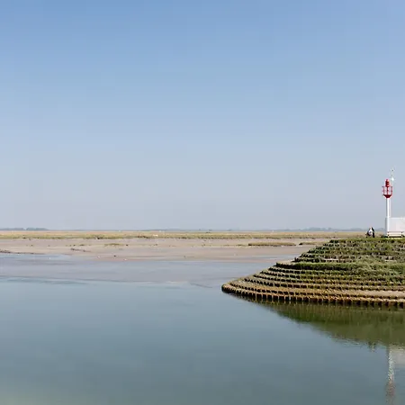 Sealencieux 6 A 8 Pers A Deux Pas Du Port *